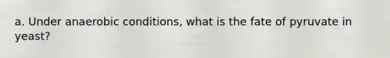 a. Under anaerobic conditions, what is the fate of pyruvate in yeast?