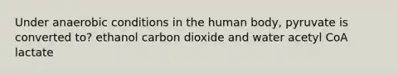 Under anaerobic conditions in the human body, pyruvate is converted to? ethanol carbon dioxide and water acetyl CoA lactate