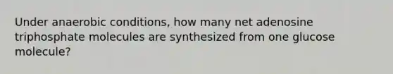 Under anaerobic conditions, how many net adenosine triphosphate molecules are synthesized from one glucose molecule?