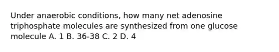 Under anaerobic conditions, how many net adenosine triphosphate molecules are synthesized from one glucose molecule A. 1 B. 36-38 C. 2 D. 4