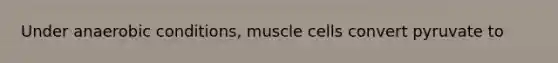 Under anaerobic conditions, muscle cells convert pyruvate to