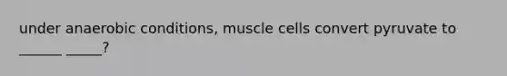 under anaerobic conditions, muscle cells convert pyruvate to ______ _____?