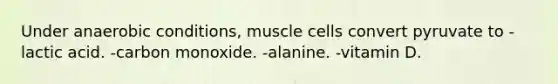 Under anaerobic conditions, muscle cells convert pyruvate to -lactic acid. -carbon monoxide. -alanine. -vitamin D.