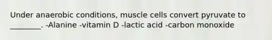 Under anaerobic conditions, muscle cells convert pyruvate to ________. -Alanine -vitamin D -lactic acid -carbon monoxide