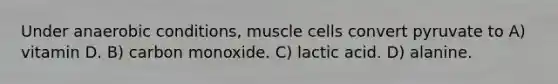 Under anaerobic conditions, muscle cells convert pyruvate to A) vitamin D. B) carbon monoxide. C) lactic acid. D) alanine.