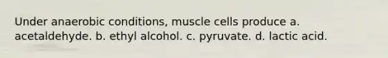 Under anaerobic conditions, muscle cells produce a. acetaldehyde. b. ethyl alcohol. c. pyruvate. d. lactic acid.