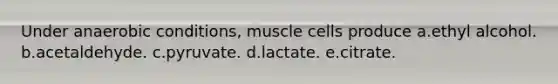 Under anaerobic conditions, muscle cells produce a.ethyl alcohol. b.acetaldehyde. c.pyruvate. d.lactate. e.citrate.