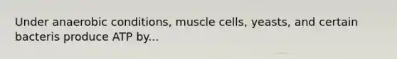 Under anaerobic conditions, muscle cells, yeasts, and certain bacteris produce ATP by...