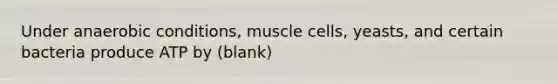 Under anaerobic conditions, muscle cells, yeasts, and certain bacteria produce ATP by (blank)