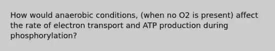 How would anaerobic conditions, (when no O2 is present) affect the rate of electron transport and ATP production during phosphorylation?