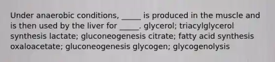 Under anaerobic conditions, _____ is produced in the muscle and is then used by the liver for _____. glycerol; triacylglycerol synthesis lactate; gluconeogenesis citrate; fatty acid synthesis oxaloacetate; gluconeogenesis glycogen; glycogenolysis