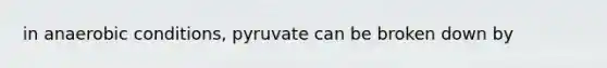 in anaerobic conditions, pyruvate can be broken down by