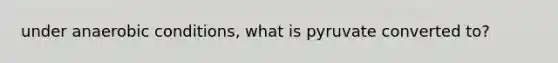 under anaerobic conditions, what is pyruvate converted to?