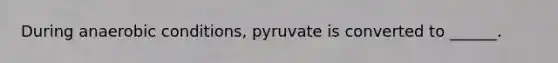 During anaerobic conditions, pyruvate is converted to ______.