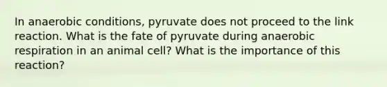 In anaerobic conditions, pyruvate does not proceed to the link reaction. What is the fate of pyruvate during anaerobic respiration in an animal cell? What is the importance of this reaction?