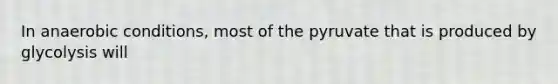 In anaerobic conditions, most of the pyruvate that is produced by glycolysis will