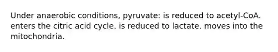 Under anaerobic conditions, pyruvate: is reduced to acetyl-CoA. enters the citric acid cycle. is reduced to lactate. moves into the mitochondria.