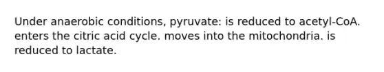 Under anaerobic conditions, pyruvate: is reduced to acetyl-CoA. enters the citric acid cycle. moves into the mitochondria. is reduced to lactate.