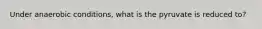 Under anaerobic conditions, what is the pyruvate is reduced to?