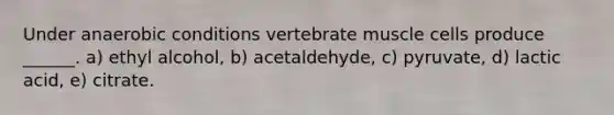 Under anaerobic conditions vertebrate muscle cells produce ______. a) ethyl alcohol, b) acetaldehyde, c) pyruvate, d) lactic acid, e) citrate.