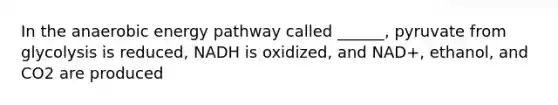 In the anaerobic energy pathway called ______, pyruvate from glycolysis is reduced, NADH is oxidized, and NAD+, ethanol, and CO2 are produced