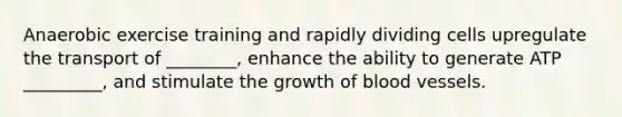 Anaerobic exercise training and rapidly dividing cells upregulate the transport of ________, enhance the ability to generate ATP _________, and stimulate the growth of blood vessels.