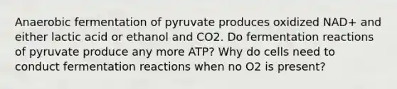 Anaerobic fermentation of pyruvate produces oxidized NAD+ and either lactic acid or ethanol and CO2. Do fermentation reactions of pyruvate produce any more ATP? Why do cells need to conduct fermentation reactions when no O2 is present?