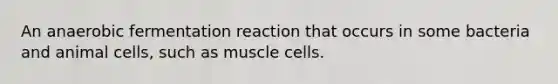 An anaerobic fermentation reaction that occurs in some bacteria and animal cells, such as muscle cells.