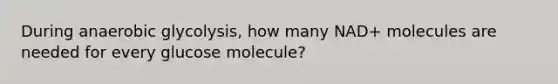 During anaerobic glycolysis, how many NAD+ molecules are needed for every glucose molecule?