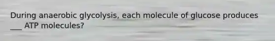 During anaerobic glycolysis, each molecule of glucose produces ___ ATP molecules?