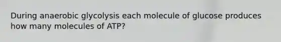 During anaerobic glycolysis each molecule of glucose produces how many molecules of ATP?