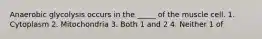 Anaerobic glycolysis occurs in the _____ of the muscle cell. 1. Cytoplasm 2. Mitochondria 3. Both 1 and 2 4. Neither 1 of