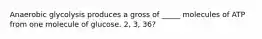 Anaerobic glycolysis produces a gross of _____ molecules of ATP from one molecule of glucose. 2, 3, 36?