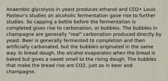 Anaerobic glycolysis in yeast produces ethanol and CO2• Louis Pasteur's studies on alcoholic fermentation gave rise to further studies. So capping a bottle before the fermentation is completed gives rise to carbonation, or bubbles. The bubbles in champagne are generally "real" carbonation produced directly by yeast. Beer is generally fermented to completion and then artificially carbonated, but the bubbles originated in the same way. In bread dough, the alcohol evaporates when the bread is baked but gives a sweet smell to the rising dough. The bubbles that make the bread rise are CO2, just as in beer and champagne.