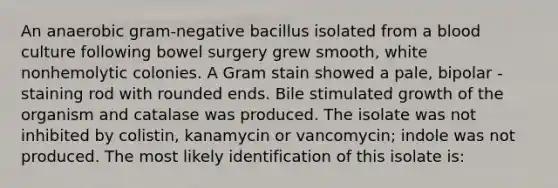 An anaerobic gram-negative bacillus isolated from a blood culture following bowel surgery grew smooth, white nonhemolytic colonies. A Gram stain showed a pale, bipolar -staining rod with rounded ends. Bile stimulated growth of the organism and catalase was produced. The isolate was not inhibited by colistin, kanamycin or vancomycin; indole was not produced. The most likely identification of this isolate is: