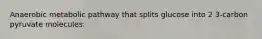 Anaerobic metabolic pathway that splits glucose into 2 3-carbon pyruvate molecules: