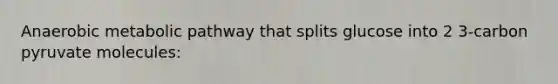 Anaerobic metabolic pathway that splits glucose into 2 3-carbon pyruvate molecules: