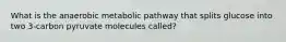 What is the anaerobic metabolic pathway that splits glucose into two 3-carbon pyruvate molecules called?