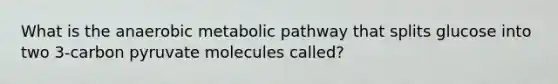 What is the anaerobic metabolic pathway that splits glucose into two 3-carbon pyruvate molecules called?