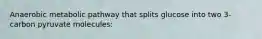 Anaerobic metabolic pathway that splits glucose into two 3-carbon pyruvate molecules: