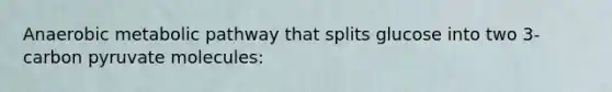 Anaerobic metabolic pathway that splits glucose into two 3-carbon pyruvate molecules: