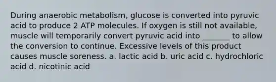 During anaerobic metabolism, glucose is converted into pyruvic acid to produce 2 ATP molecules. If oxygen is still not available, muscle will temporarily convert pyruvic acid into _______ to allow the conversion to continue. Excessive levels of this product causes muscle soreness. a. lactic acid b. uric acid c. hydrochloric acid d. nicotinic acid