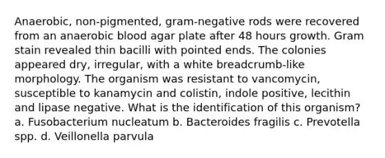 Anaerobic, non-pigmented, gram-negative rods were recovered from an anaerobic blood agar plate after 48 hours growth. Gram stain revealed thin bacilli with pointed ends. The colonies appeared dry, irregular, with a white breadcrumb-like morphology. The organism was resistant to vancomycin, susceptible to kanamycin and colistin, indole positive, lecithin and lipase negative. What is the identification of this organism? a. Fusobacterium nucleatum b. Bacteroides fragilis c. Prevotella spp. d. Veillonella parvula