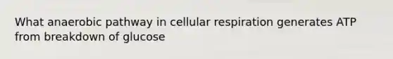 What anaerobic pathway in cellular respiration generates ATP from breakdown of glucose