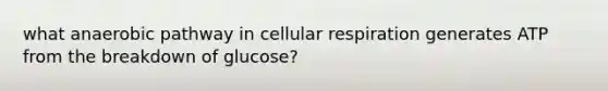 what anaerobic pathway in <a href='https://www.questionai.com/knowledge/k1IqNYBAJw-cellular-respiration' class='anchor-knowledge'>cellular respiration</a> generates ATP from the breakdown of glucose?