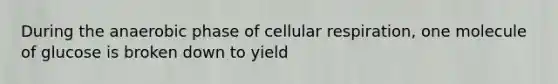 During the anaerobic phase of cellular respiration, one molecule of glucose is broken down to yield