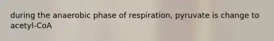 during the anaerobic phase of respiration, pyruvate is change to acetyl-CoA