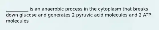 __________ is an anaerobic process in the cytoplasm that breaks down glucose and generates 2 pyruvic acid molecules and 2 ATP molecules