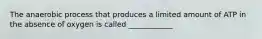 The anaerobic process that produces a limited amount of ATP in the absence of oxygen is called ____________
