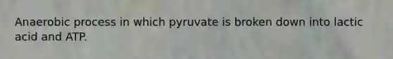 Anaerobic process in which pyruvate is broken down into lactic acid and ATP.